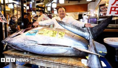 A man wearing a white suit spreading his hands over a giant tuna laying on a table.