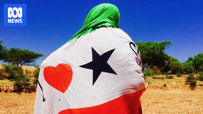 The strategic plays that may have driven Israel's recognition of Somaliland