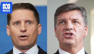 Liberals wait on Hastie-Taylor decision before challenging Sussan Ley's leadership