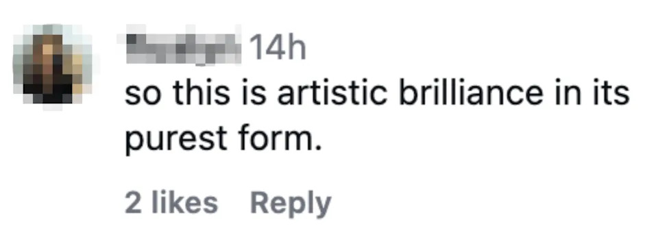 Comment saying, "so this is artistic brilliance in its purest form." Image of user avatar, 2 likes, and a reply option