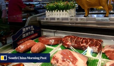 Australia ‘disappointed’ with China’s 55% beef tariffs, as US$667 million in trade at risk