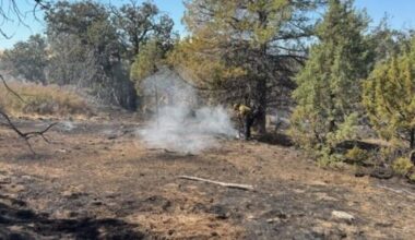Cal Fire urges creating defensible space as winter dryness persists in Northstate
