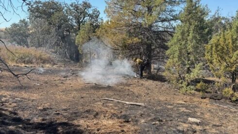 Cal Fire urges creating defensible space as winter dryness persists in Northstate