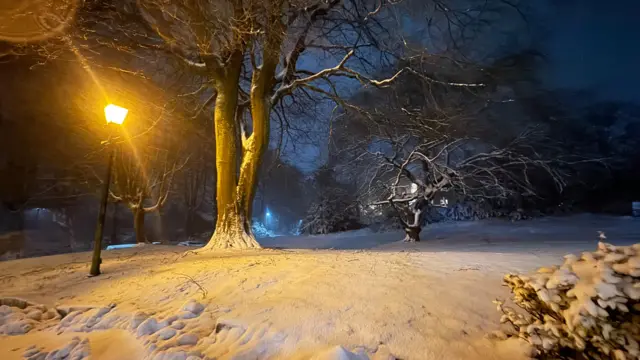 A snowy scene in Buxton.  A lamppost illuminates the image from the left hand side, there is a bank of snow with several trees in it