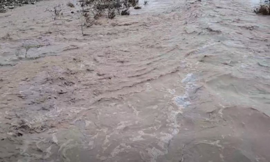 Emergency services respond to 18 incidents involving flooding and fallen trees (videos), KNEWS