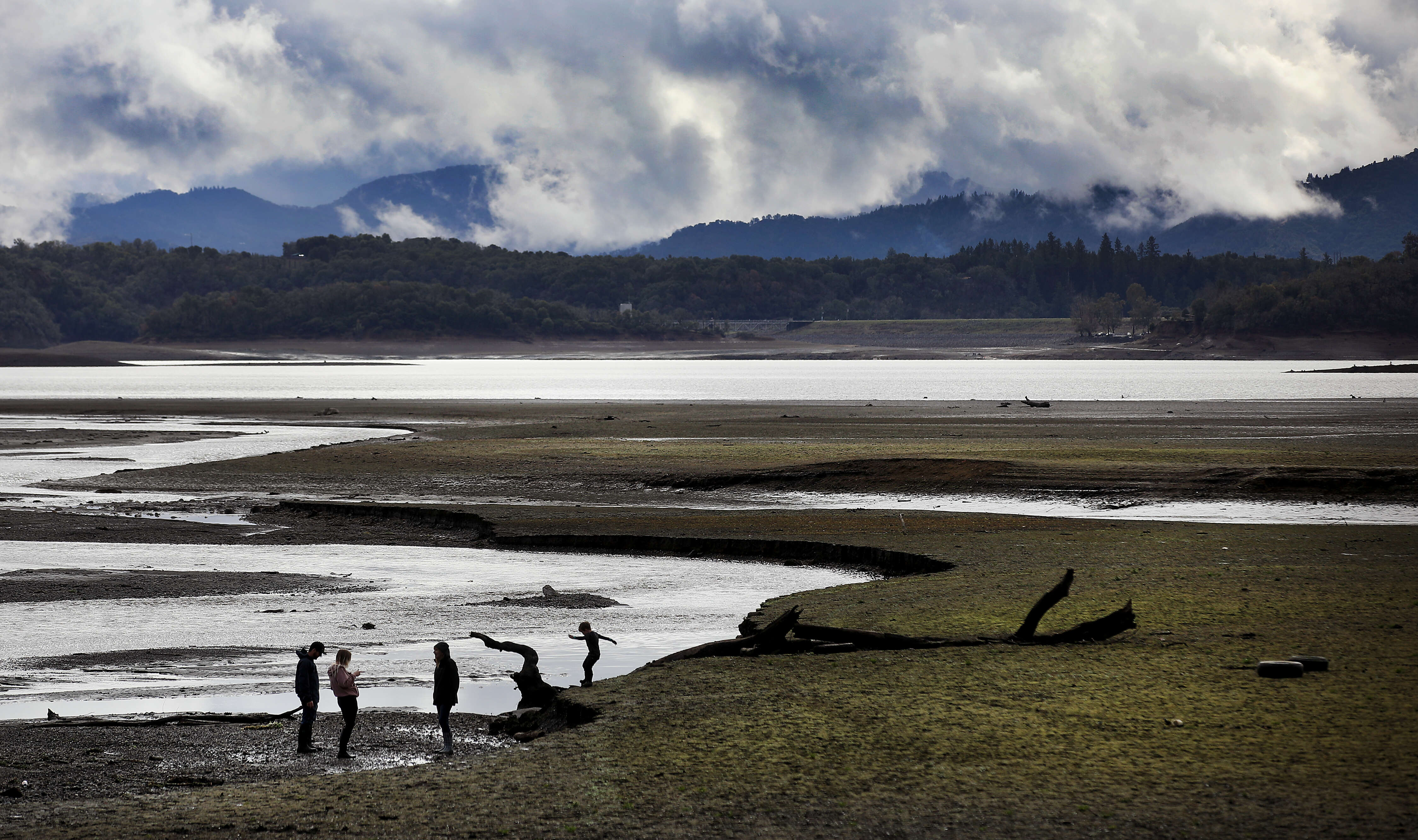 A harmful and potentially toxic algal bloom was detected in...