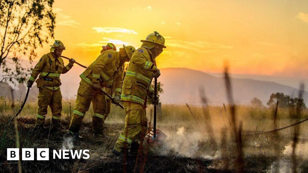 Australia firefighters battle 'emergency level' blazes