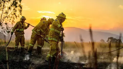 Reuters CFA firefighters conduct black-out operations at dusk as they mop up remaining hot spots following bushfire activity near Alexandra, Victoria, Australia, as extreme fire danger conditions persist across the state
