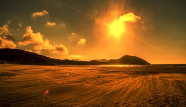 2025 was Earth's 3rd-Warmest Year on Record