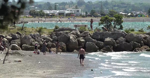 Napier, Hastings top 36C as gale-force winds cause damage, fan fires
