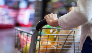 Want free groceries? Hillsborough residents can get some at the community health fair