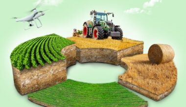 Idaho Lab partners with Terragia to test new biomass conversion technology