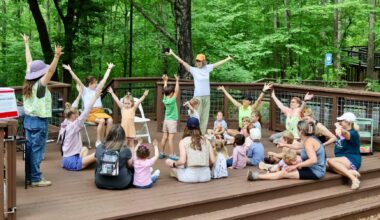 A group of adults and children put their arms in the air while sitting on a platform in the woods.