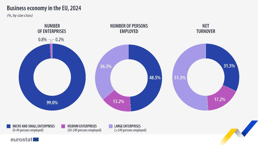 Business economy in the EU, 2024 (%, by size class). Pie charts by number of enterprises, number of people employed and net turnover. Link to full dataset below. 