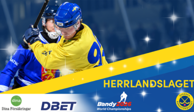 Här är herrspelarna som representerar Sverige i VM i Finland