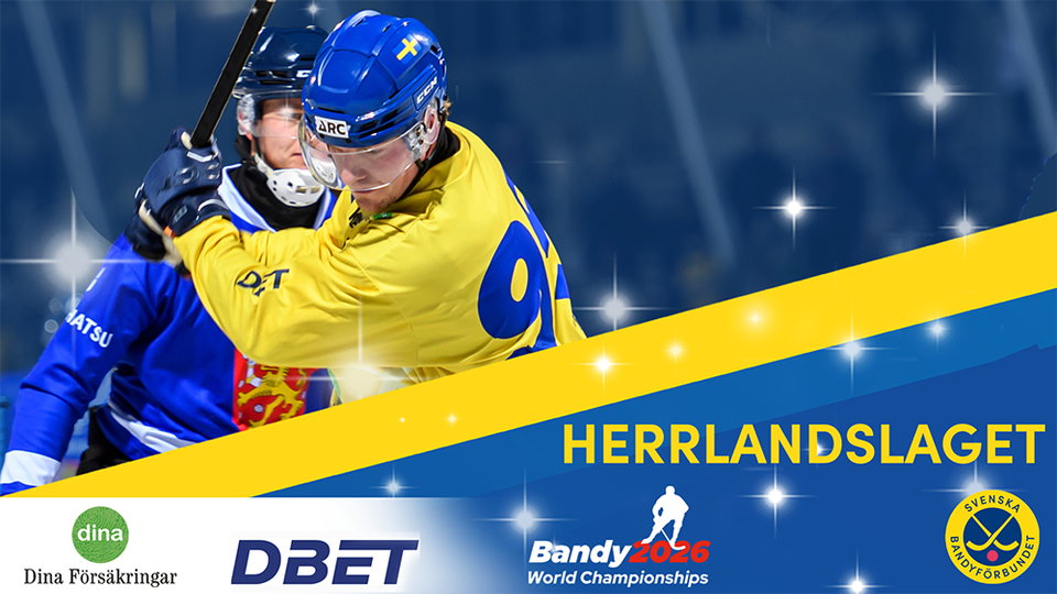 Här är herrspelarna som representerar Sverige i VM i Finland