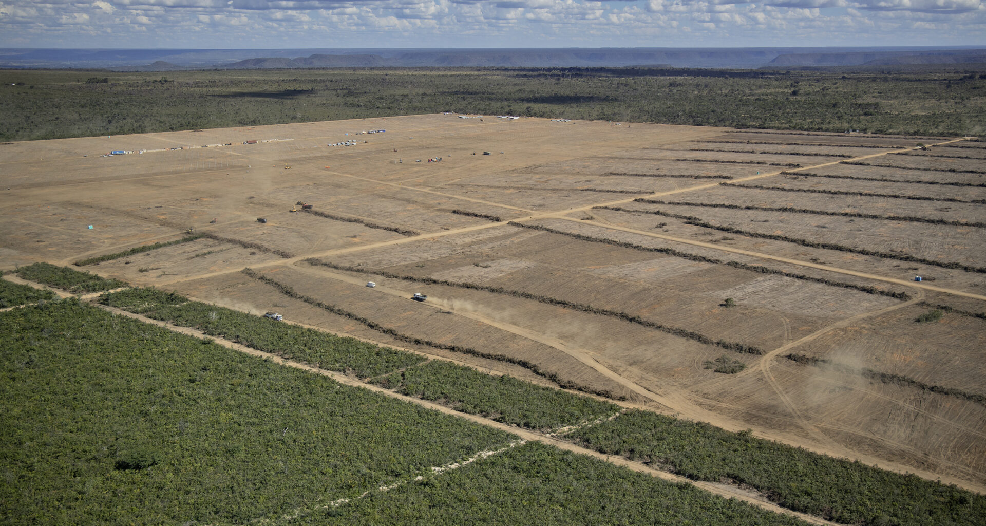 2026: erop of eronder voor de Europese Bossenwet