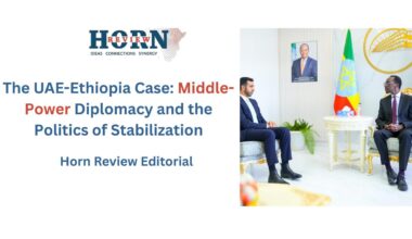 Middle-Power Diplomacy and the Politics of Stabilization – HORN REVIEW