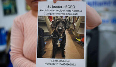 Spain Train Crash Survivor Asks for Help Finding Dog Who Escaped After Deadly Collision