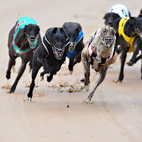 An investigation will take place.