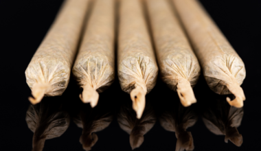 Trump Reclassified Cannabis Drug and Restricted Immigrations to the Unites States, A Migrant Country