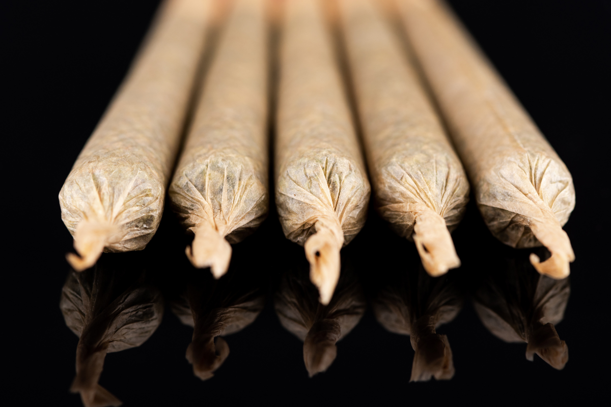 Trump Reclassified Cannabis Drug and Restricted Immigrations to the Unites States, A Migrant Country