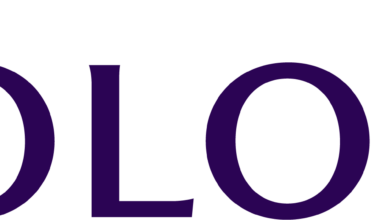 Solomon Partners Expands Technology Practice with Ian