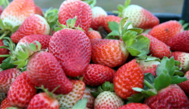 France to halt imports of fruit with banned pesticide residues