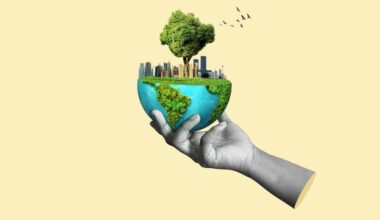 IPSOS Survey Asks Creatives For Their Views