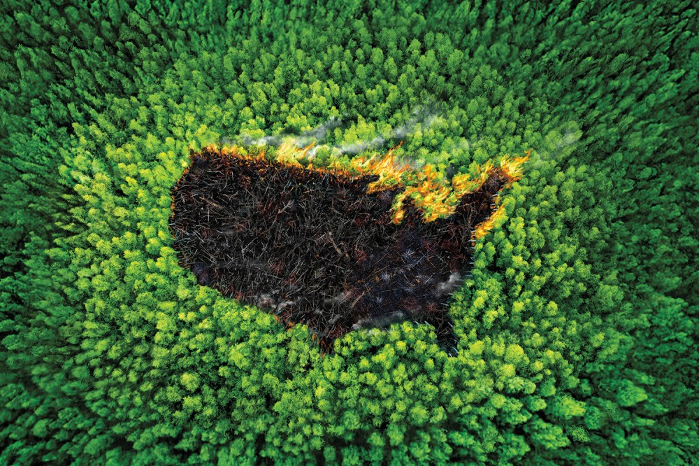 China's Role in Global Climate Policy After U.S. Withdrawal From Paris