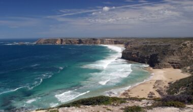 Department for Environment and Water