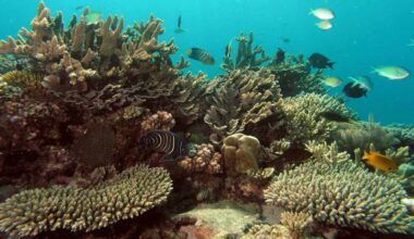 The Ocean Has Finally Entered the Global Climate Debate