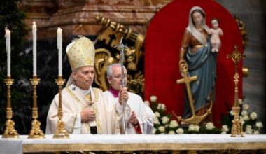 Leo XIV: How many loaves do you have? Go and see