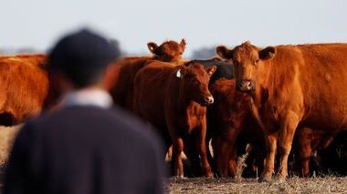 EU–Mercosur deal: Strength in partnership – Economy and ecology