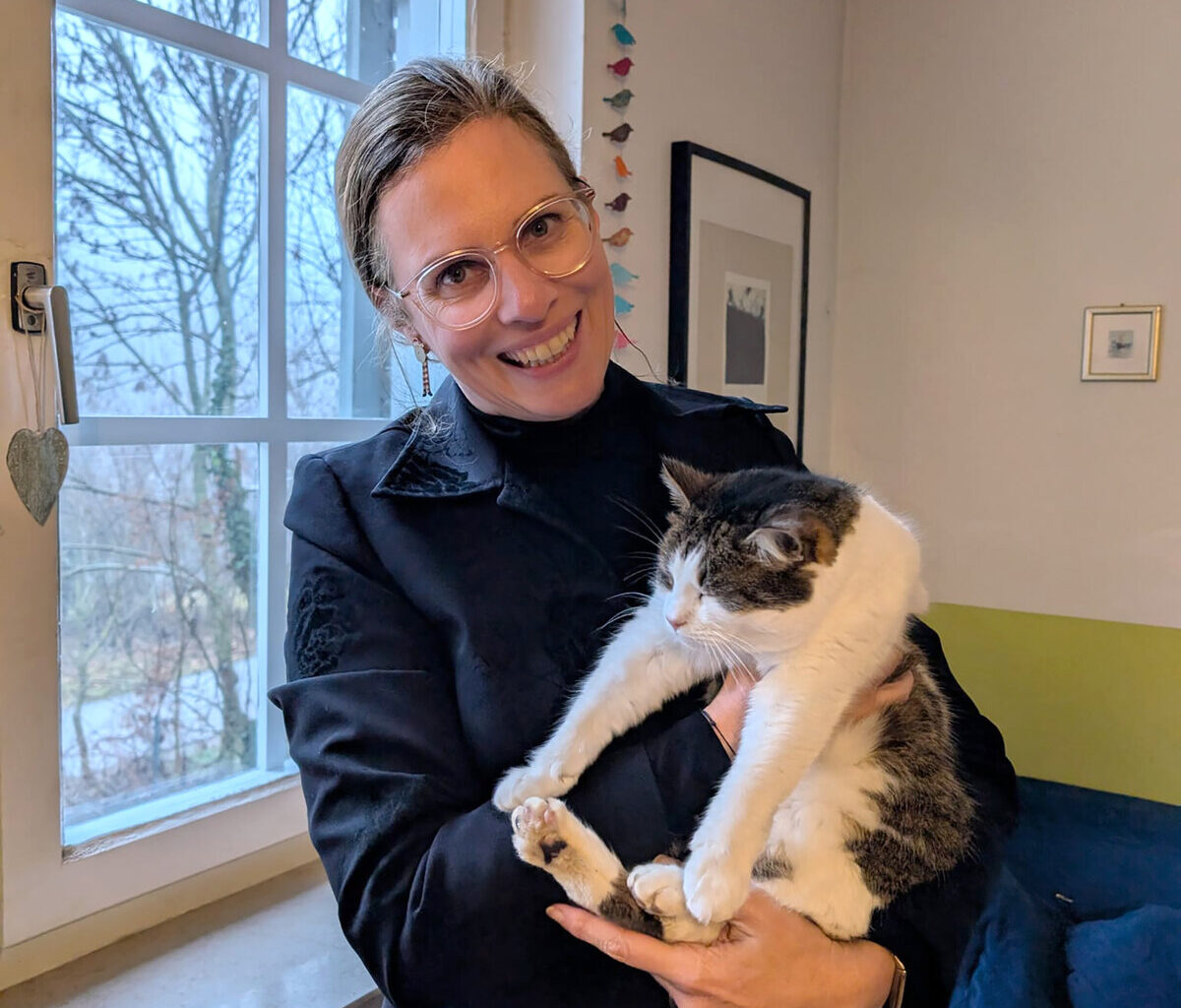 Streunerkatzen-Kastrationsaktion wird 2026 fortgeführt und ausgebaut