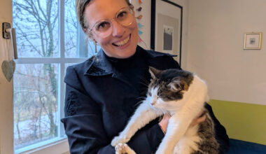 Streunerkatzen-Kastrationsaktion wird 2026 fortgeführt und ausgebaut