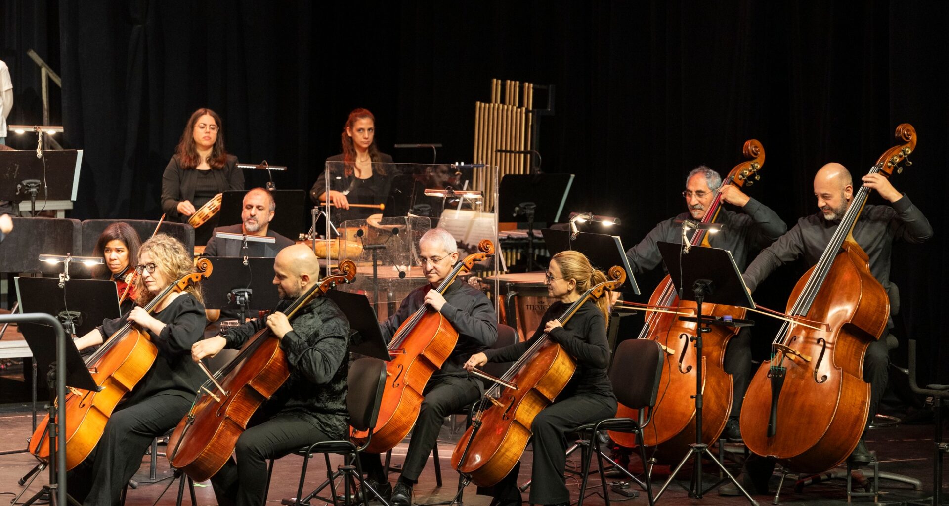 cover These are the Cyprus Symphony Orchestra’s first concerts in 2026