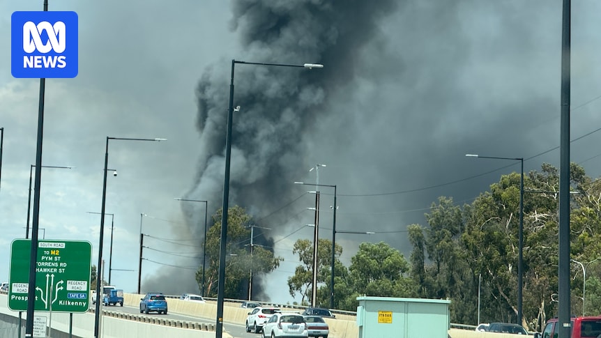 Large fire in suburban Adelaide sending up huge smoke plume