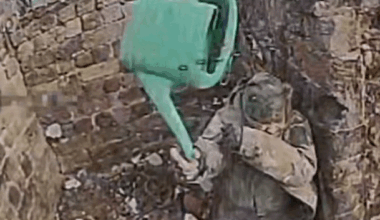 A russian soldier trying to defend himself with a water can, most likely not successful.
