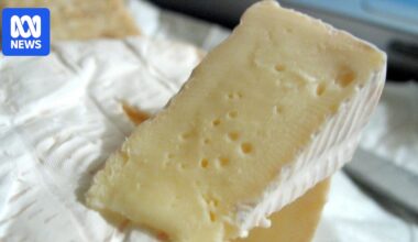 Man who failed to remove backyard cheese facility told to pay $120,000