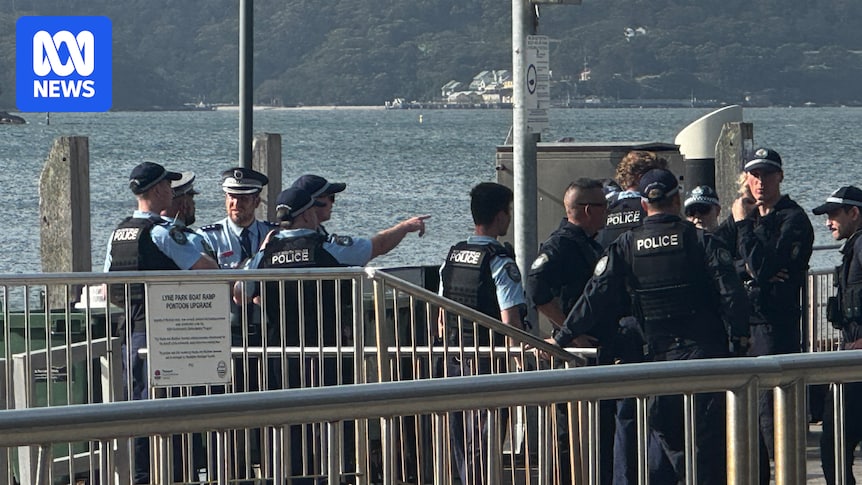 Boy, 13, in critical condition after being bitten by a large shark at Sydney Harbour beach