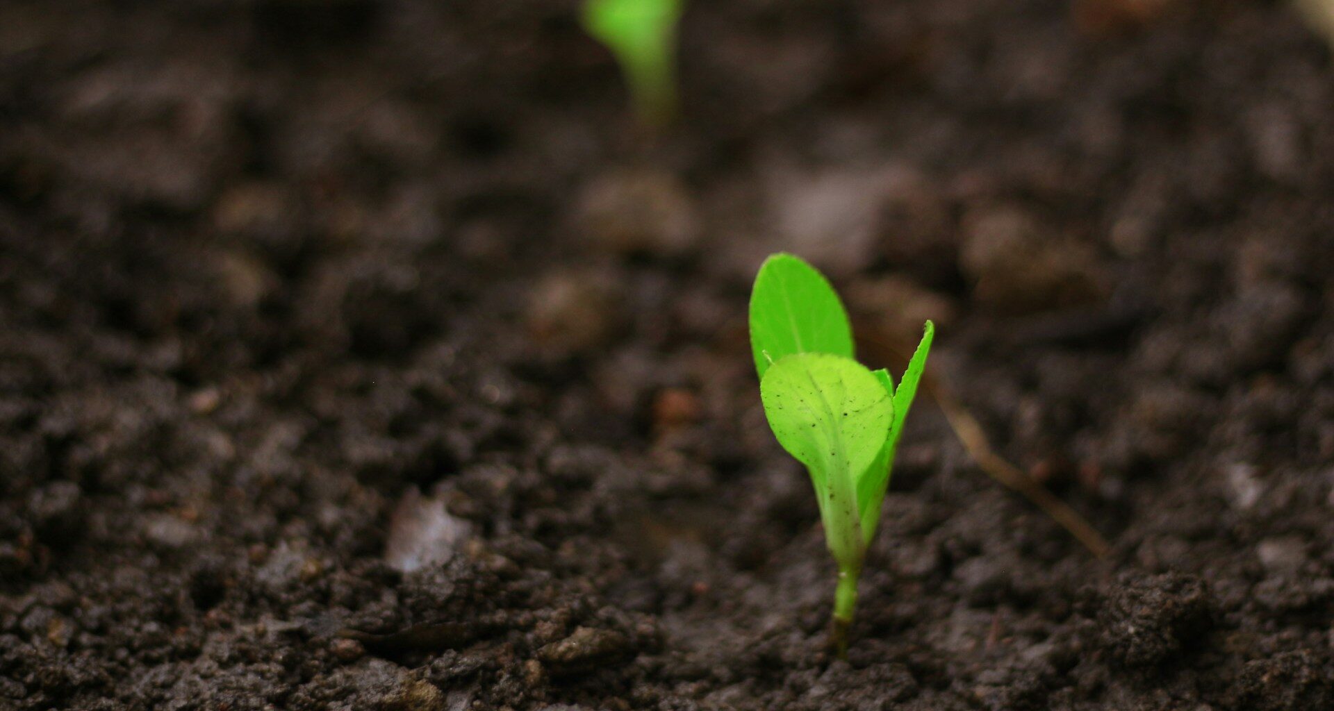 UK Manufacturing PMI: Industry shows further signs of recovery in December