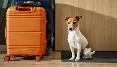 UK-based Snaptrip Group completes 2 acqusitions