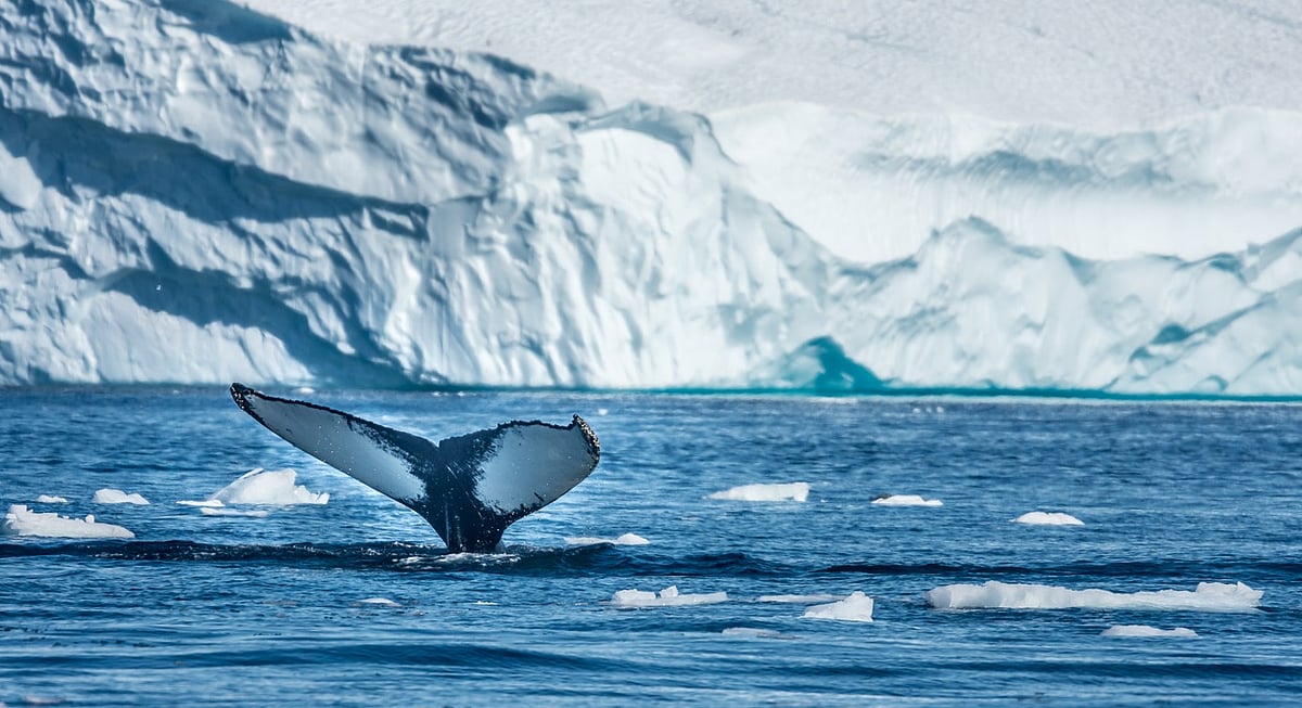 Climate Power Struggle Beneath the Ice