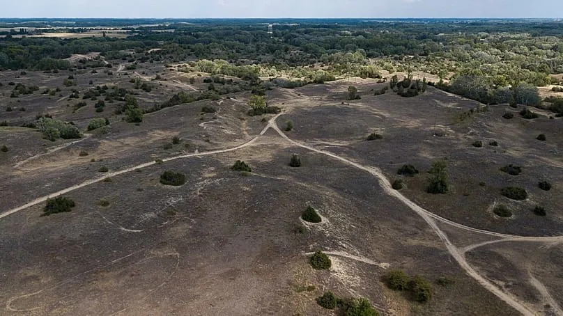 Hills of sandy terrain are visible in the Kiskunsag region of Hungary, 30 July 2025. 