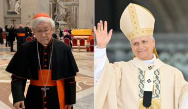 Cardinals, the first consistory of Leo XIV, and Cardinal Zen's public objections - ZENIT