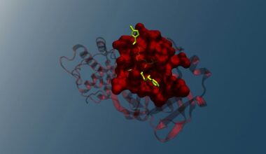 Enzyme Design Transformed by AI and Biotech Synergy