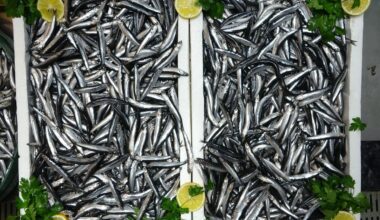 Crates of anchovies prepared for sale at a fish market, Trabzon, Türkiye, January 7, 2025. (IHA Photo)