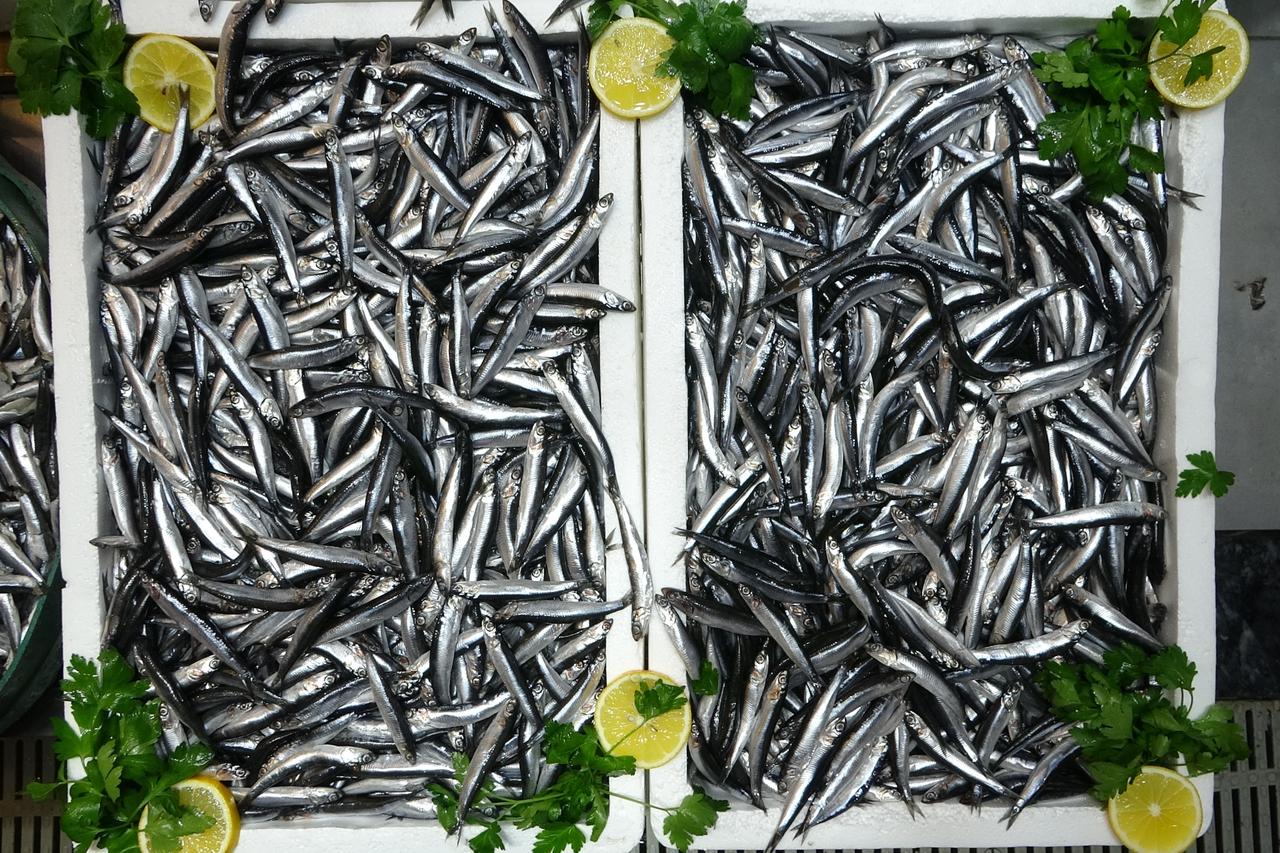 Crates of anchovies prepared for sale at a fish market, Trabzon, Türkiye, January 7, 2025. (IHA Photo)