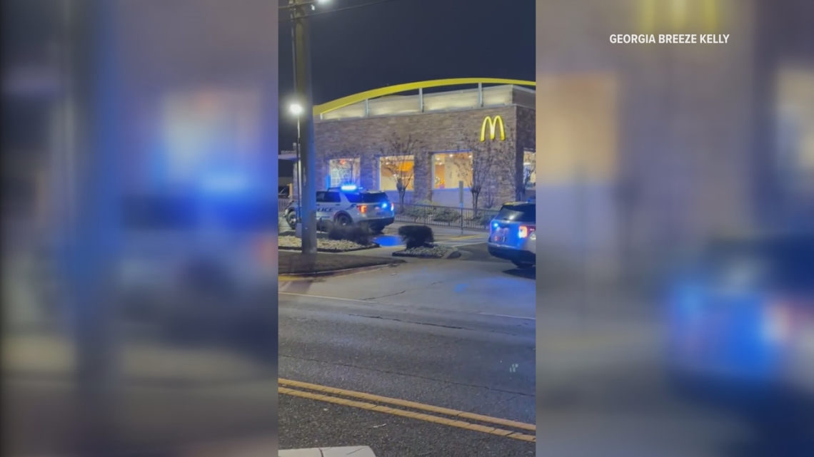 'We need to pray for our city' | Local business owners shaken by Houston County's 1st shooting of 2026